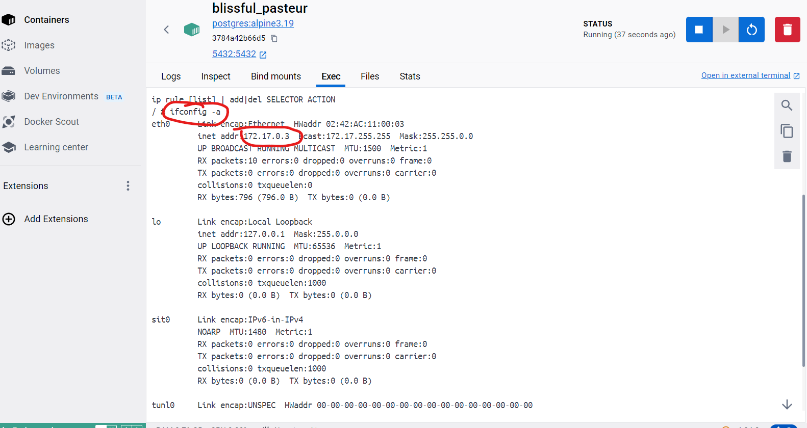 Postgres found port